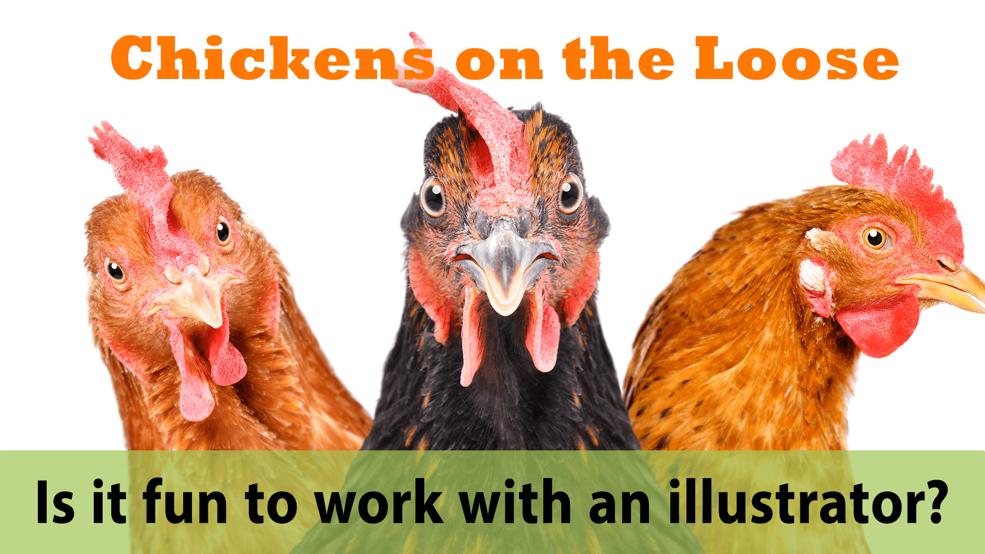 Chickens on the Loose - Is it fun working with an illustrator?